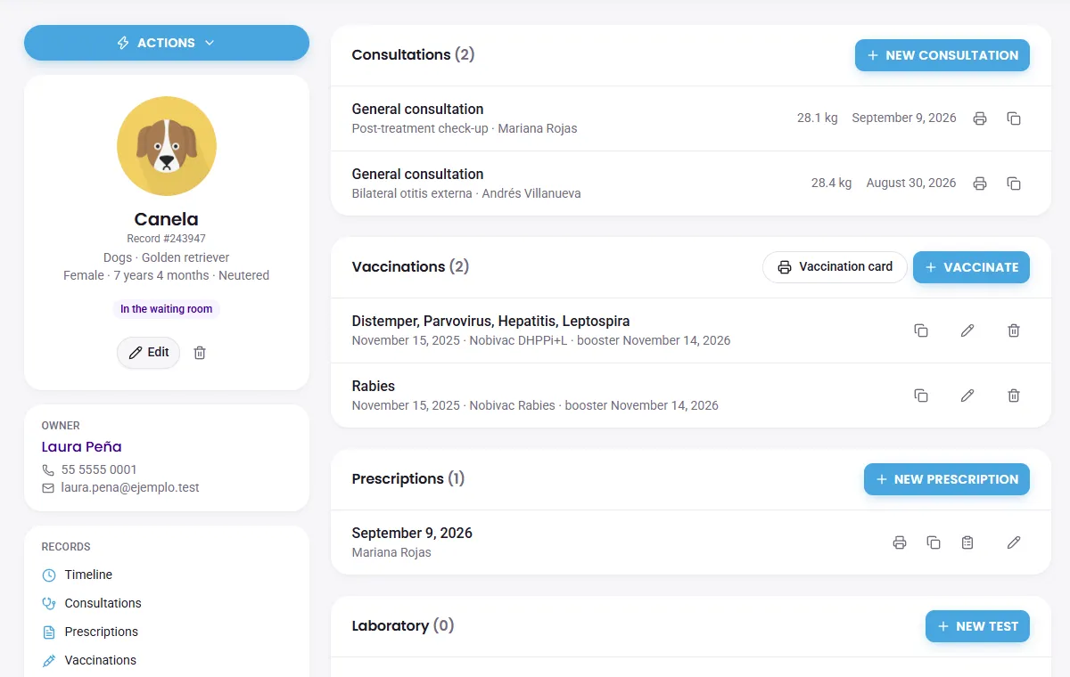 A patient record in SAMI: consultations, vaccines and prescriptions